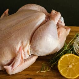 মুরগি ও হাঁস